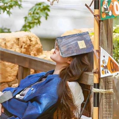 摩斯拉决战哥斯拉 海报